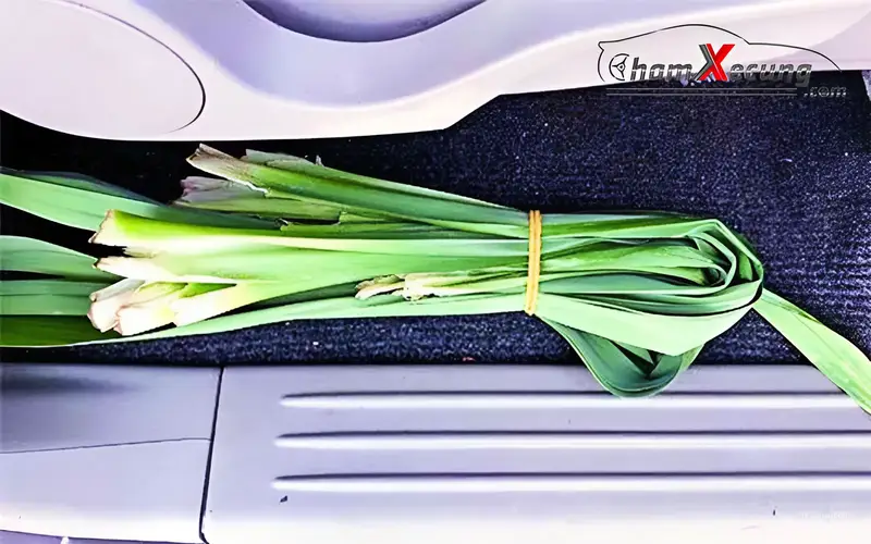 Lá dứa với mùi hương tự nhiên có thể tạo ra mùi hương dễ chịu