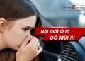 Mùi hôi trong xe thường do các chi tiết có cấu tạo bằng nhựa dẻo, nhựa vinyl như taplo, trần xe, sàn xe, ghế da,...