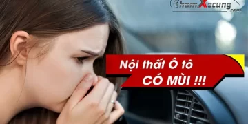 Mùi hôi trong xe thường do các chi tiết có cấu tạo bằng nhựa dẻo, nhựa vinyl như taplo, trần xe, sàn xe, ghế da,...