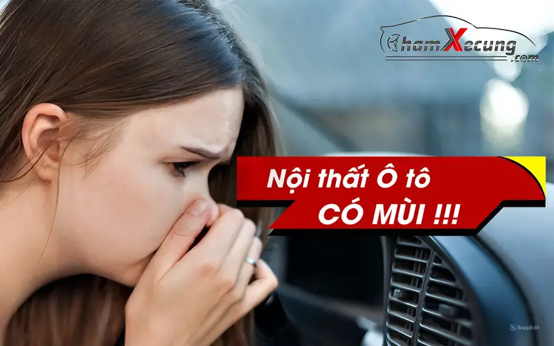Mùi hôi trong xe thường do các chi tiết có cấu tạo bằng nhựa dẻo, nhựa vinyl như taplo, trần xe, sàn xe, ghế da,...